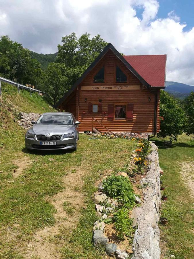 Vila Jelena Crni Vrh 外观 照片