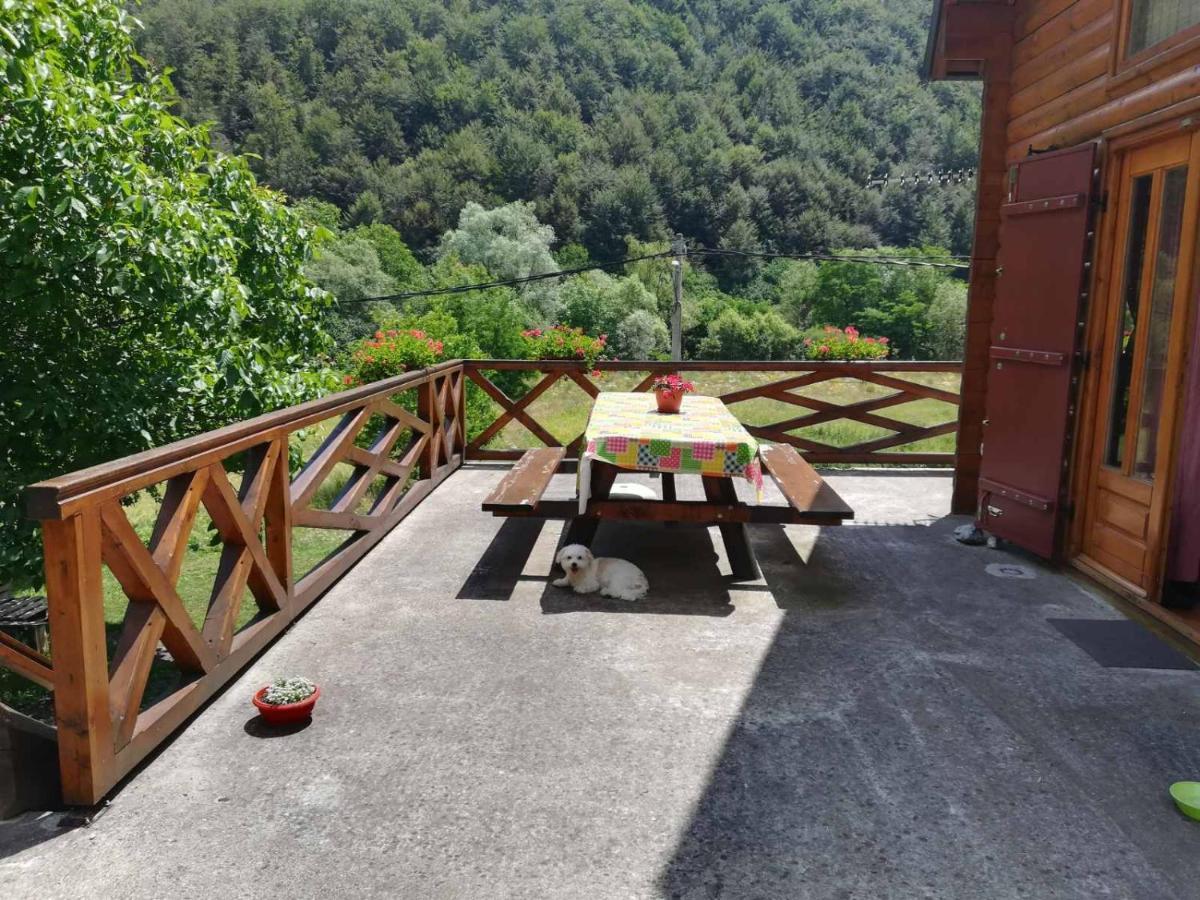 Vila Jelena Crni Vrh 外观 照片