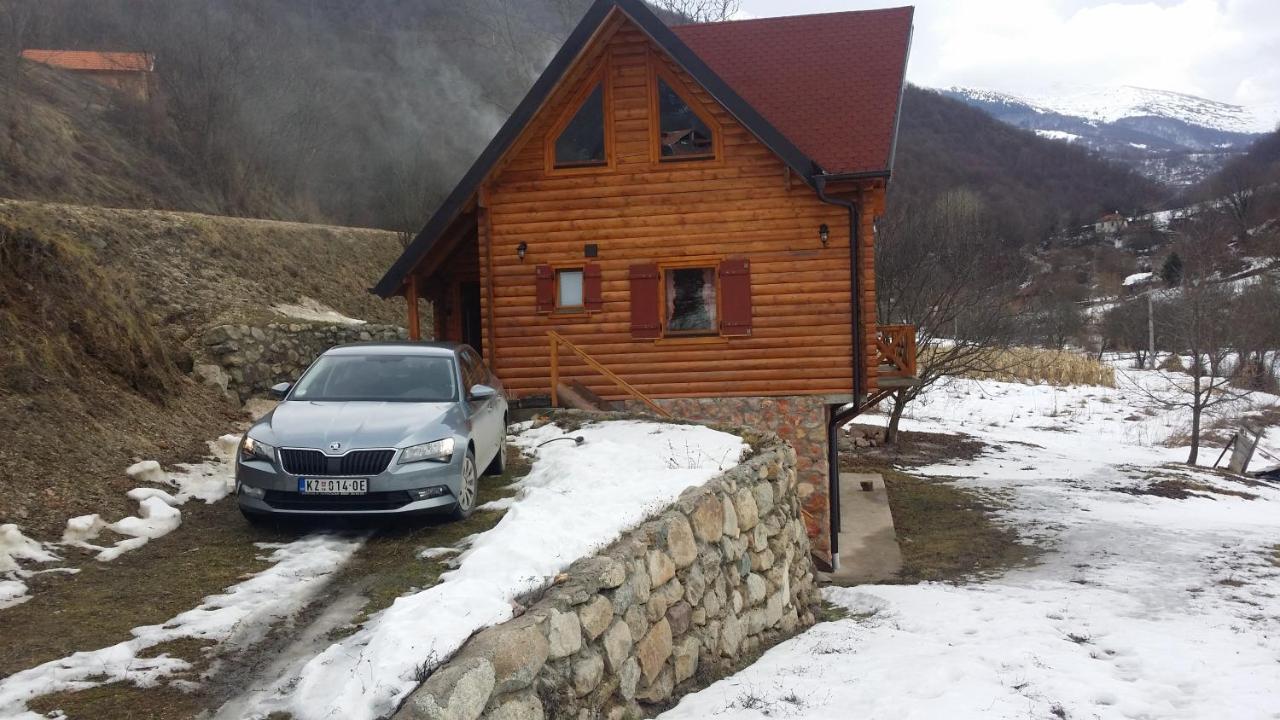 Vila Jelena Crni Vrh 外观 照片