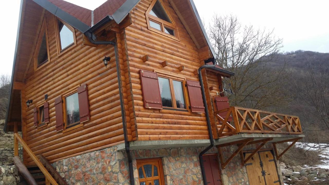 Vila Jelena Crni Vrh 外观 照片