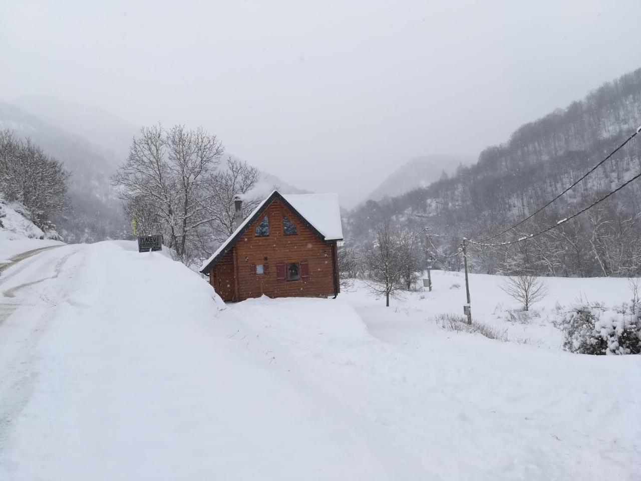 Vila Jelena Crni Vrh 外观 照片