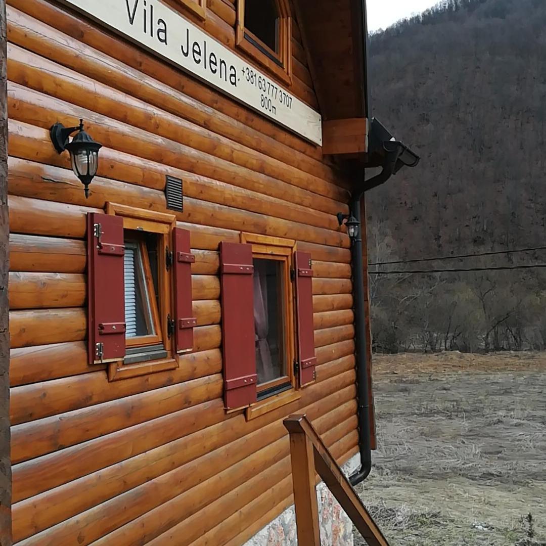 Vila Jelena Crni Vrh 外观 照片