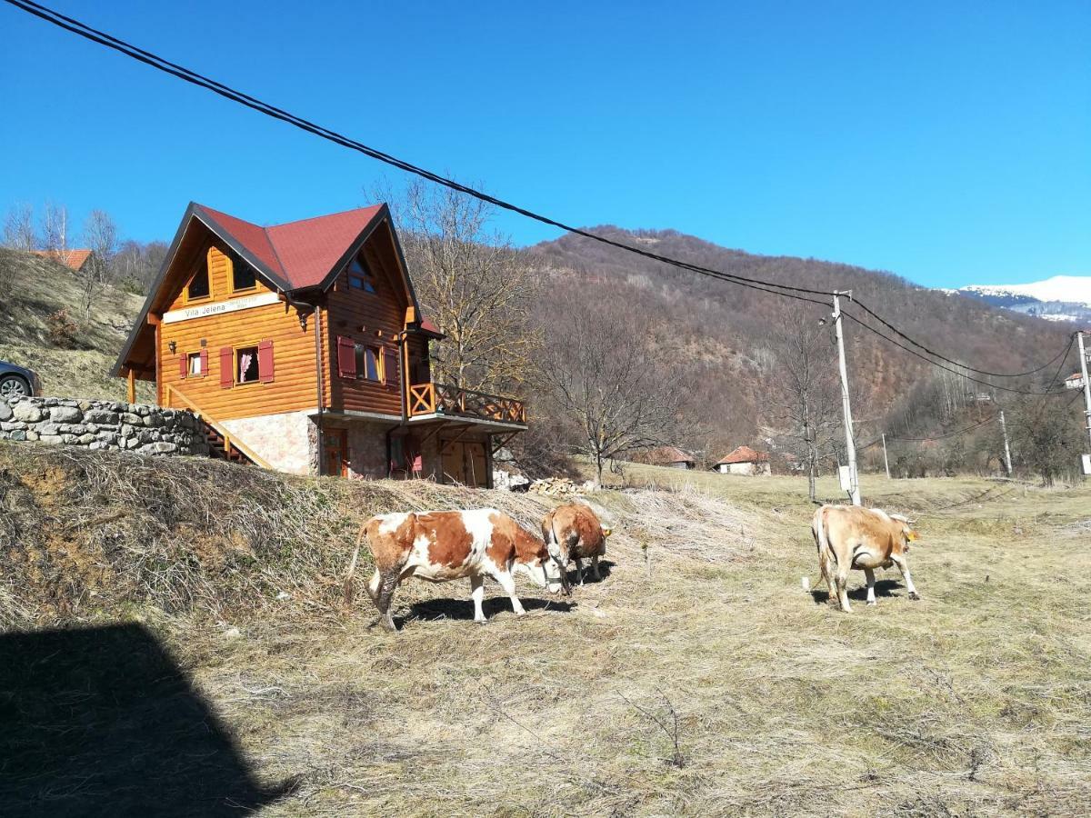 Vila Jelena Crni Vrh 外观 照片